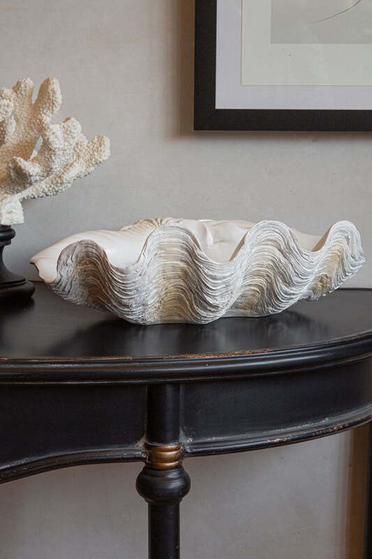 Large White Clam Shell Display Dish