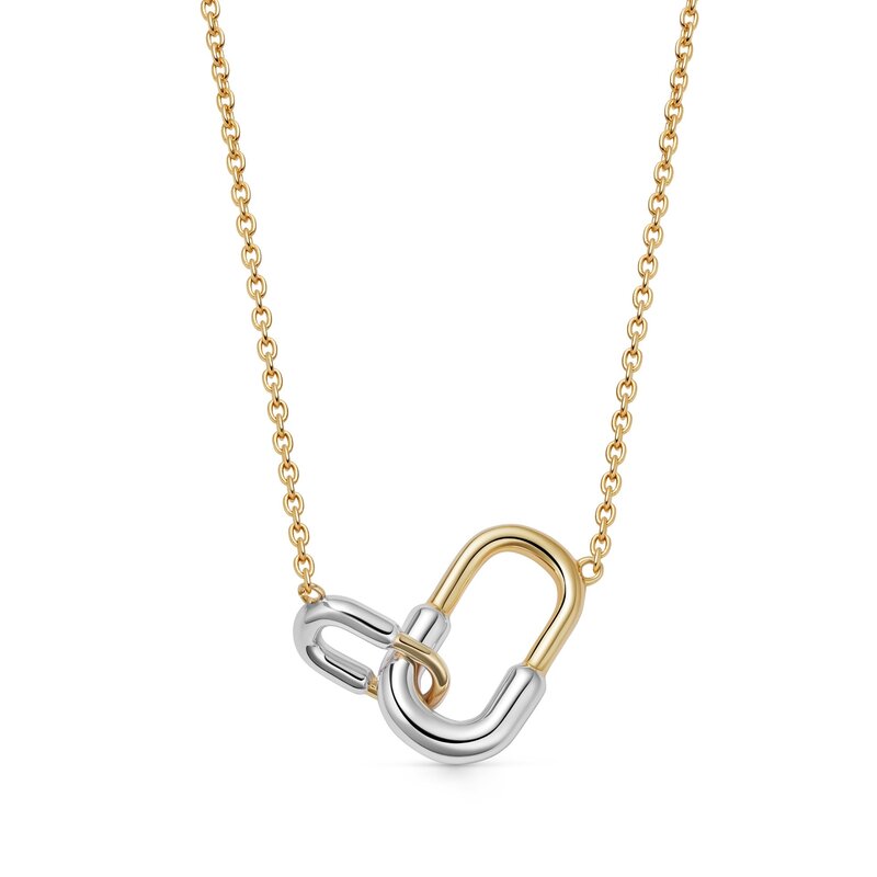 Gold & Silver U-Hoop Necklace